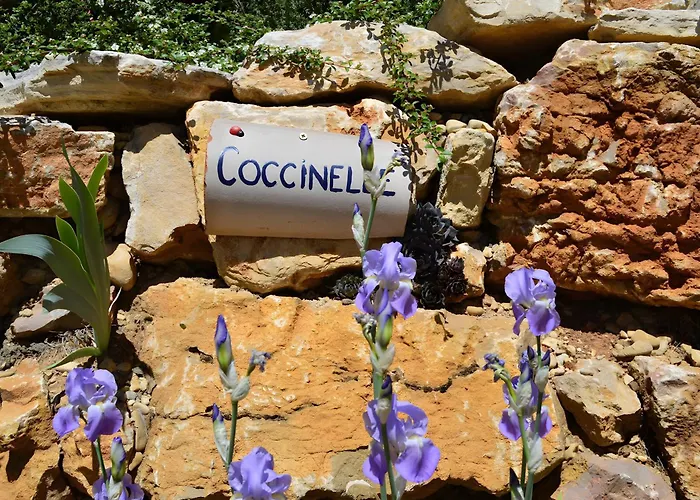 Coccinelle Allemagne-en-Provence