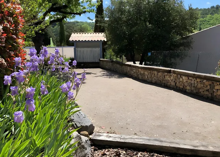 Coccinelle * Allemagne-en-Provence